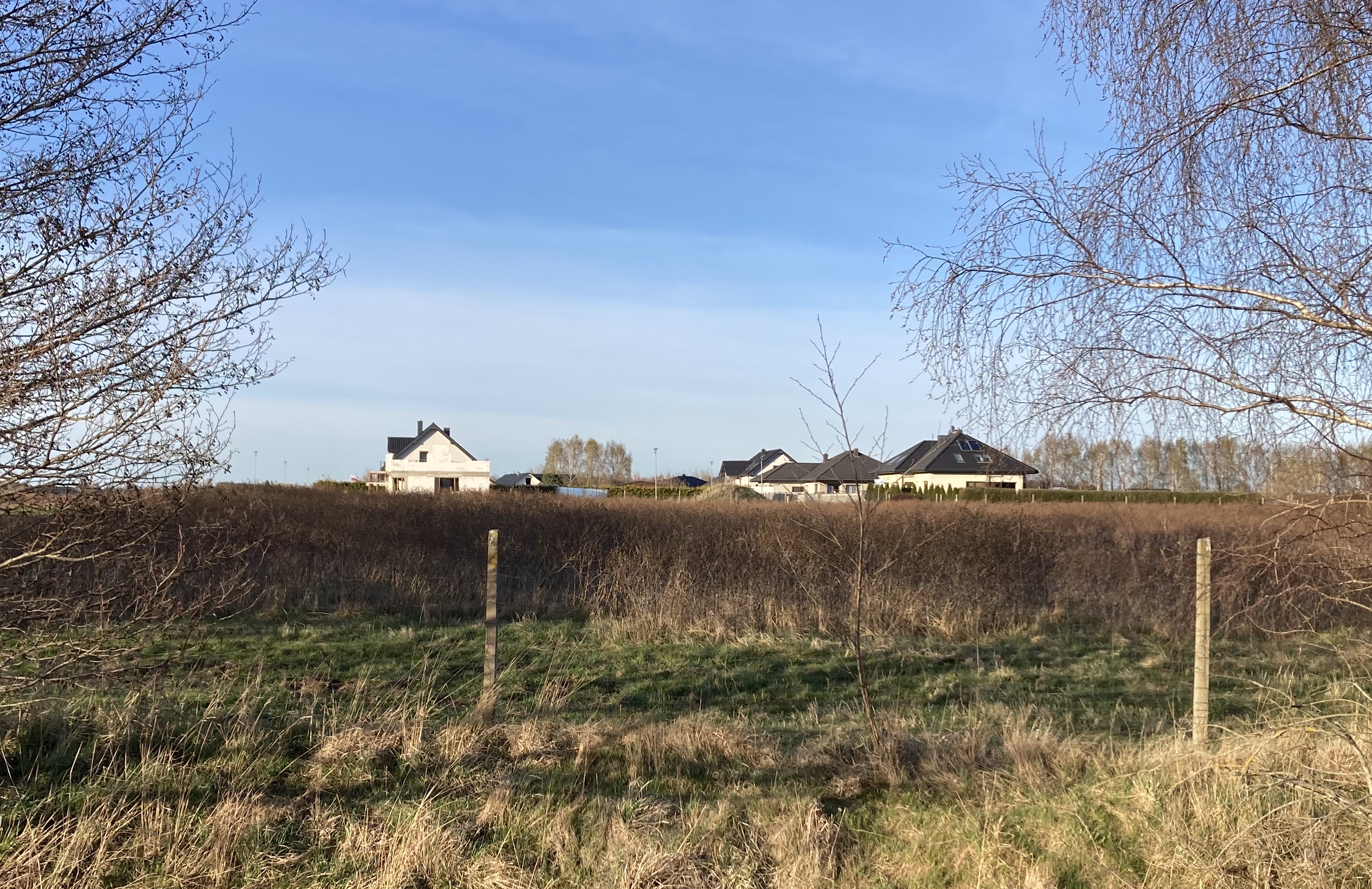 Widok na ul. Orzechową